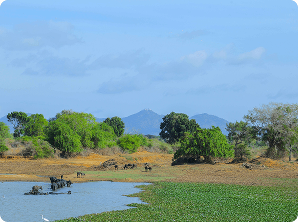 Modern Bathroom Amenities in Private Safari Villa Yala