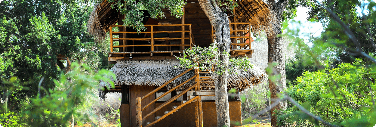 Outdoor Nature Views Near Yala National Park Entrance