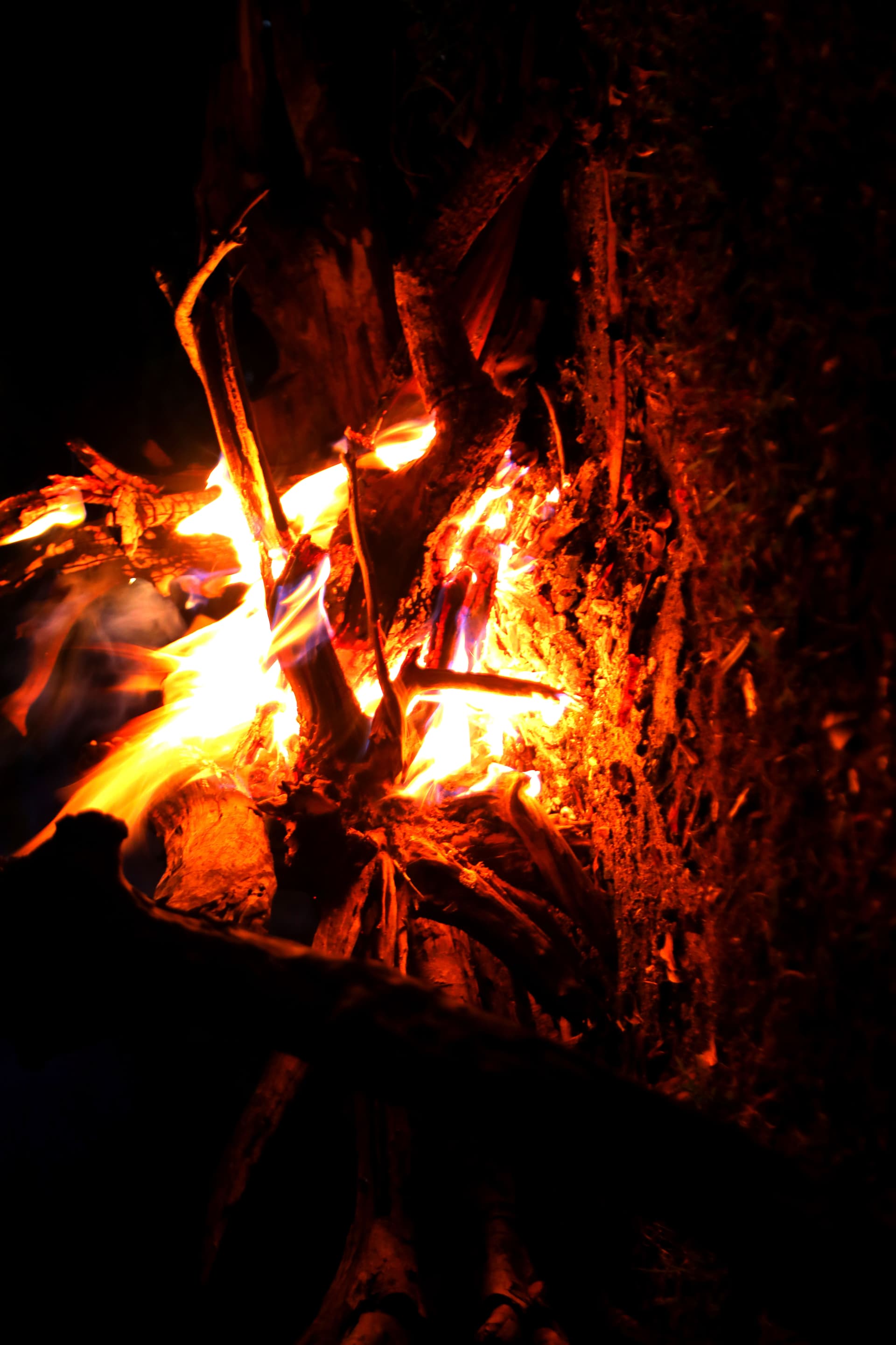A warm, crackling campfire glowing with flames and embers — the signature nighttime experience at Nature Win Yala under the open sky.